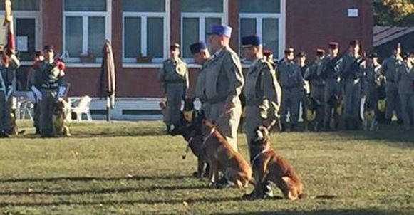 ASCD segurança e defesa k9 e cyno formação e serviços