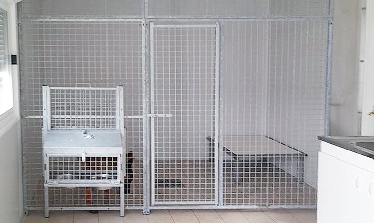 espace vétérinaire k9